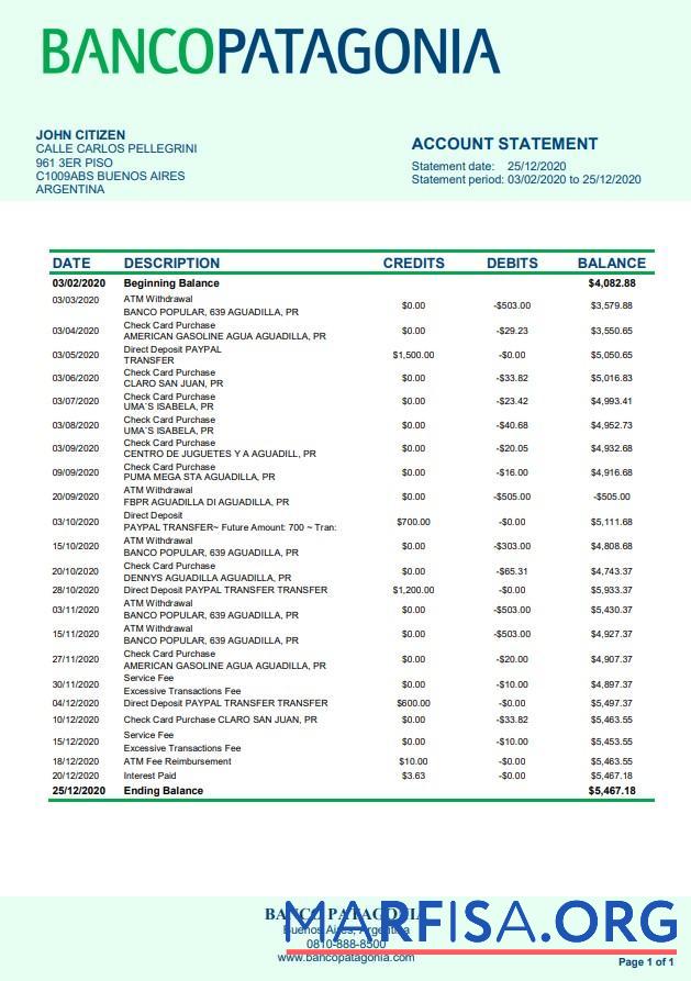 Blank Argentina Banco Patagonia bank statement example